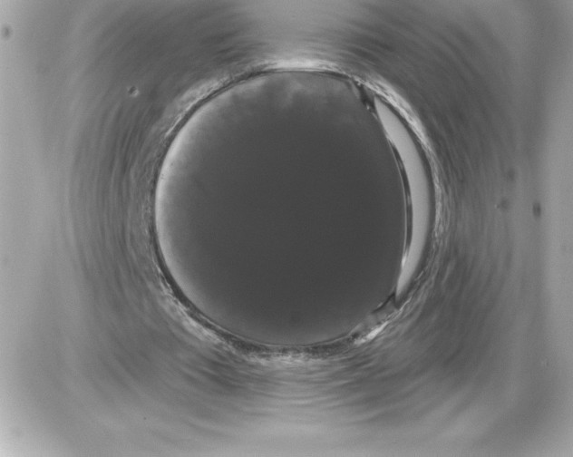 X0000085220385200704091937