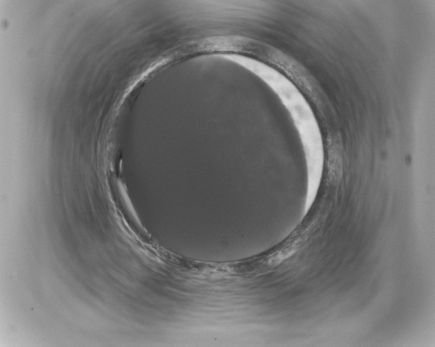 X0000085220386200704091937