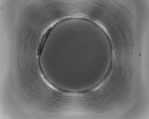 X0000085220389200704091937