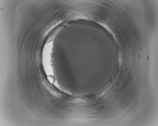 X0000085220390200704091937