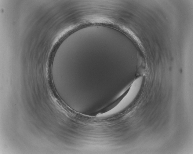 X0000085220391200704091937