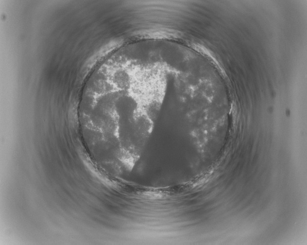 X0000085220394200704091937