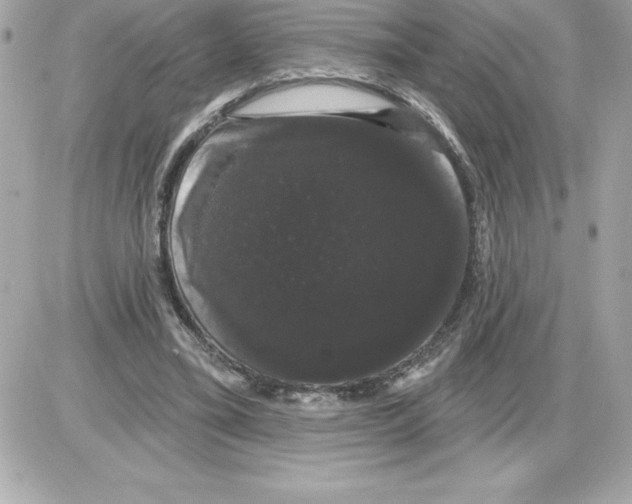 X0000085220395200704091937