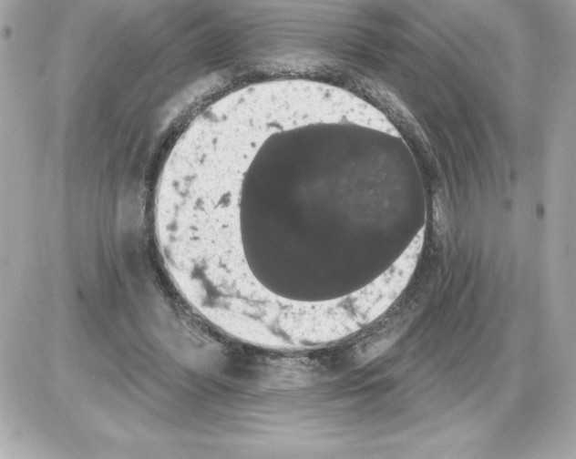 X0000085220396200704091937