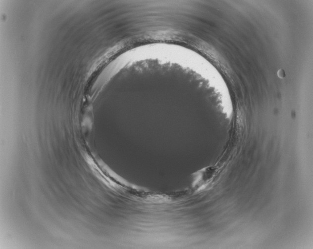 X0000085220397200704091937