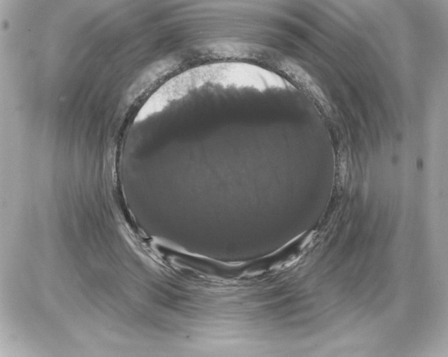 X0000085220398200704091937