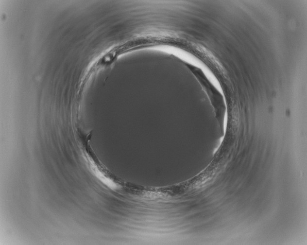 X0000085220399200704091937