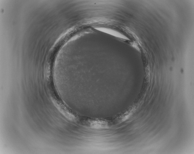 X0000085220400200704091937