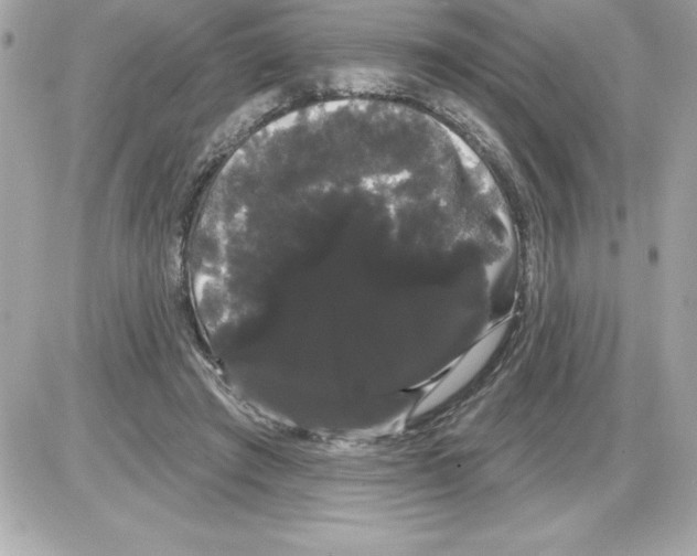 X0000085220401200704091937