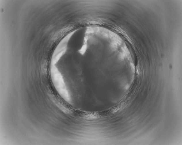 X0000085220402200704091937