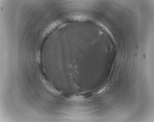 X0000085220403200704091937