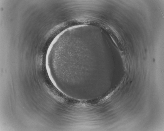 X0000085220404200704091937