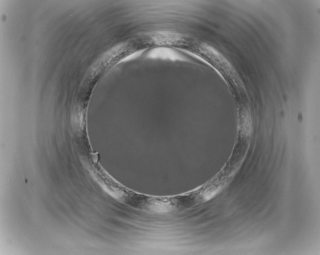 X0000085220405200704091937