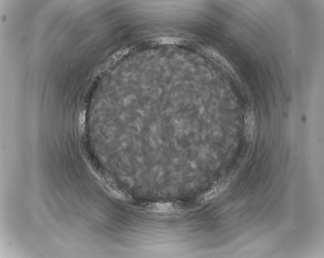 X0000085220406200704091937