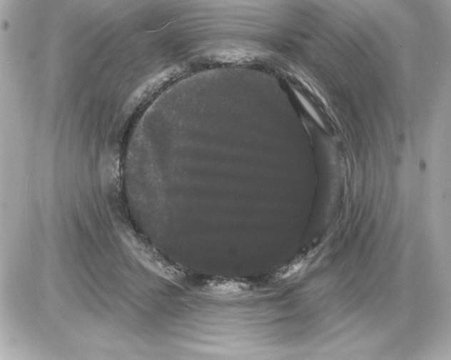 X0000085220407200704091937