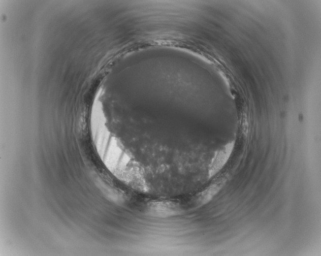 X0000085220408200704091937