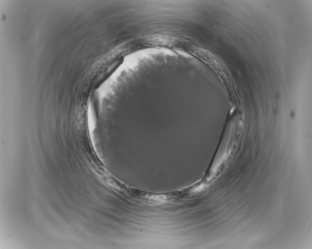 X0000085220409200704091937