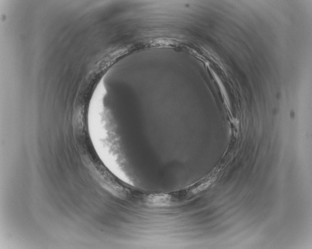 X0000085220410200704091937