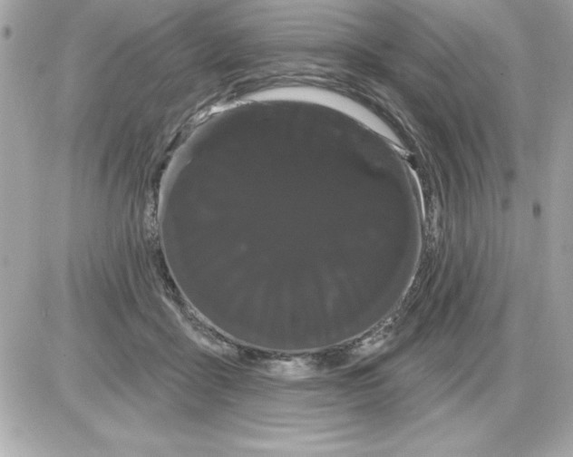 X0000085220411200704091937