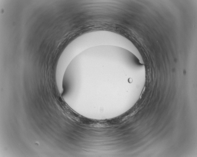 X0000085220412200704091937