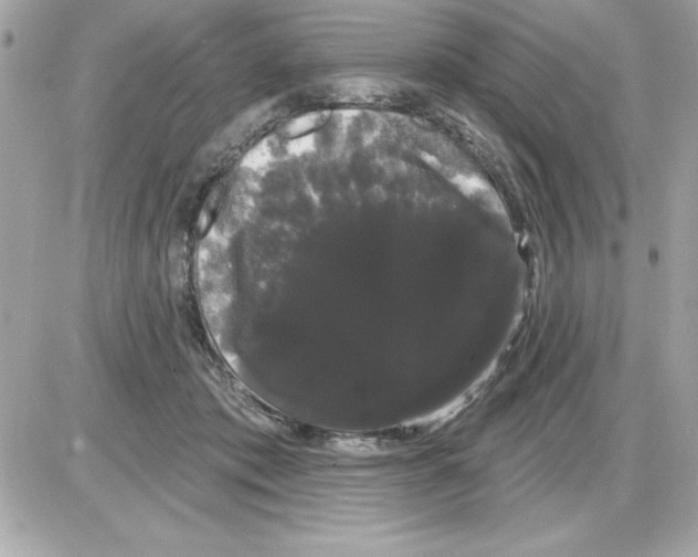 X0000085220413200704091937