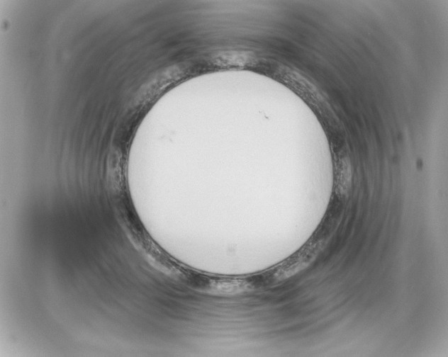 X0000085220414200704091937