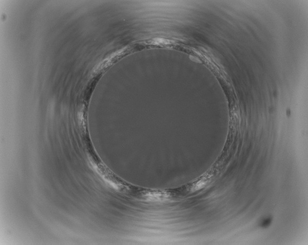 X0000085220415200704091937