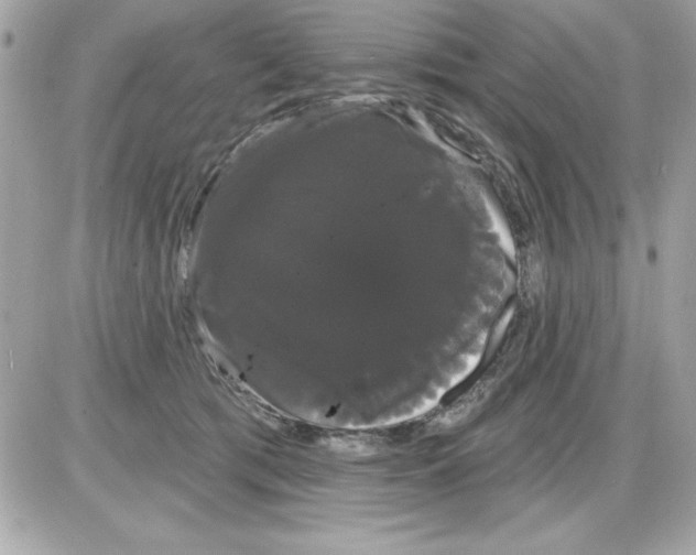 X0000085220417200704091937