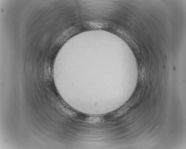 X0000085220418200704091937