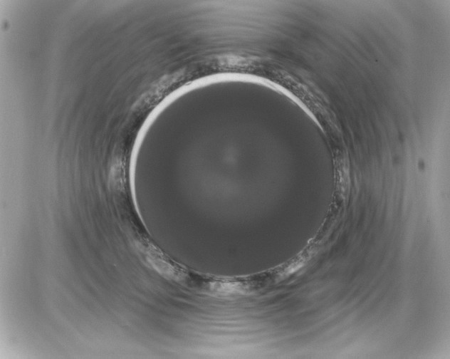 X0000085220419200704091937