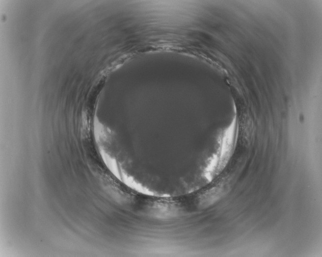 X0000085220420200704091937