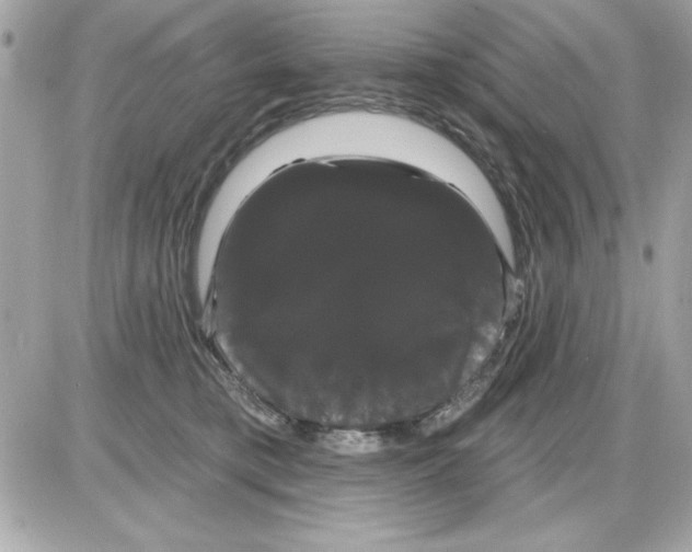 X0000085220421200704091937