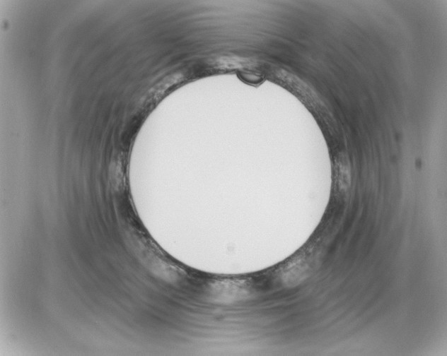 X0000085220422200704091937