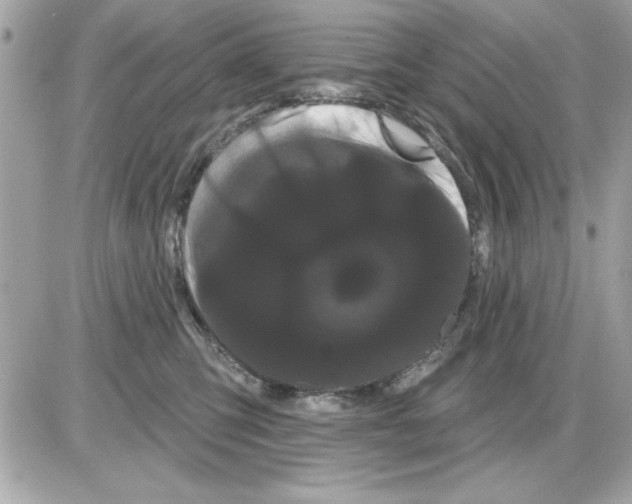 X0000085220423200704091937