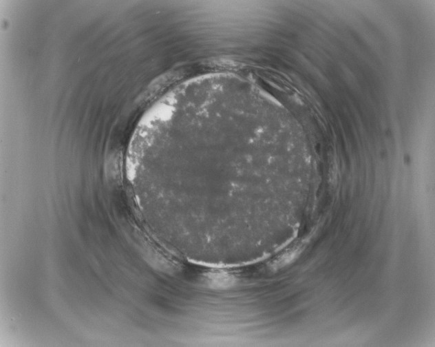 X0000085220425200704091937