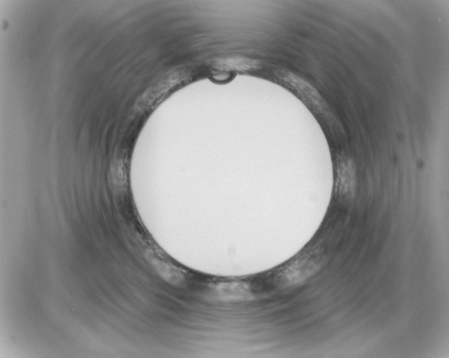 X0000085220426200704091937