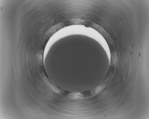 X0000085220427200704091936