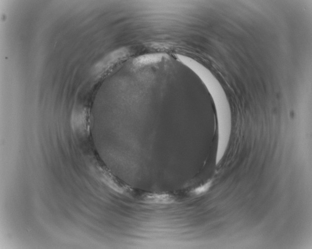 X0000085220428200704091936