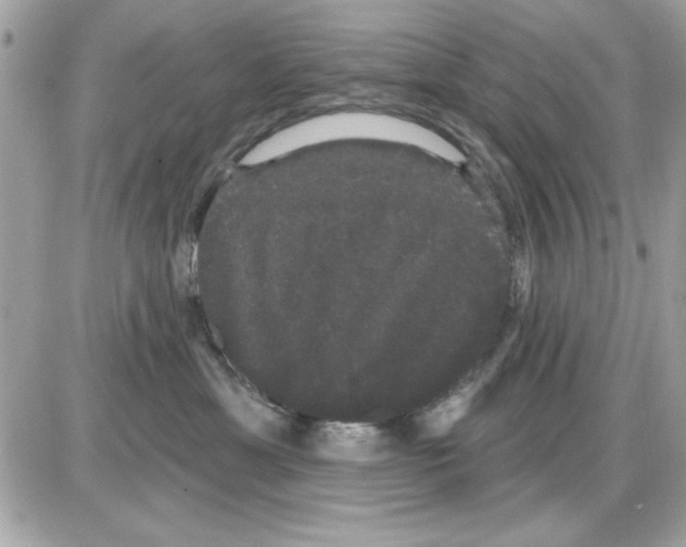 X0000085220429200704091936