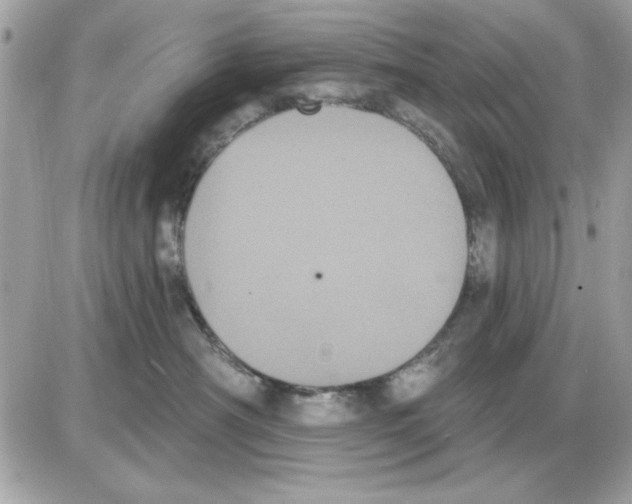 X0000085220430200704091936