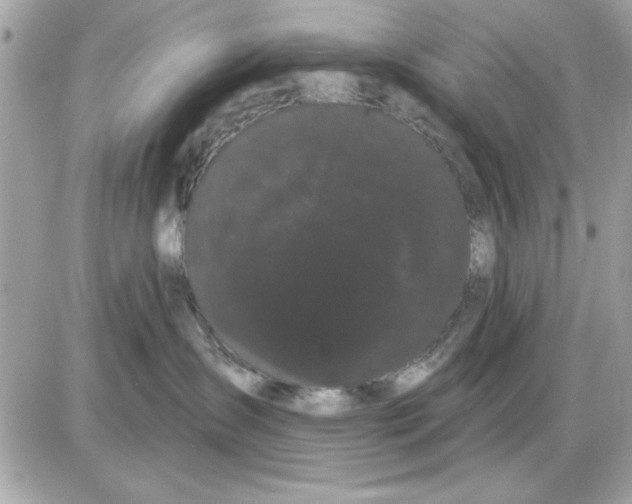 X0000085220431200704091936