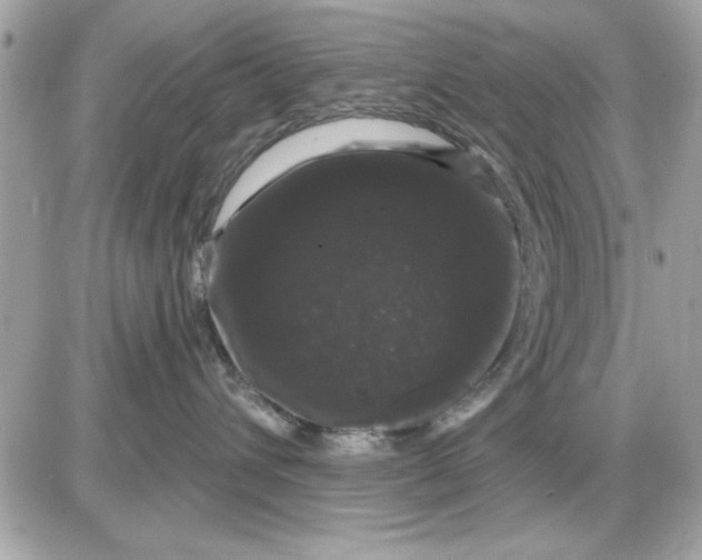 X0000085220432200704091936