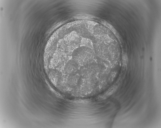 X0000085220433200704091936