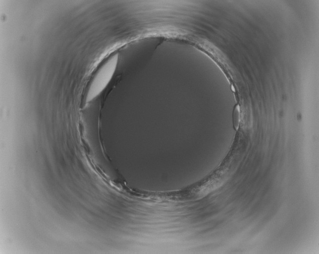 X0000085220434200704091936