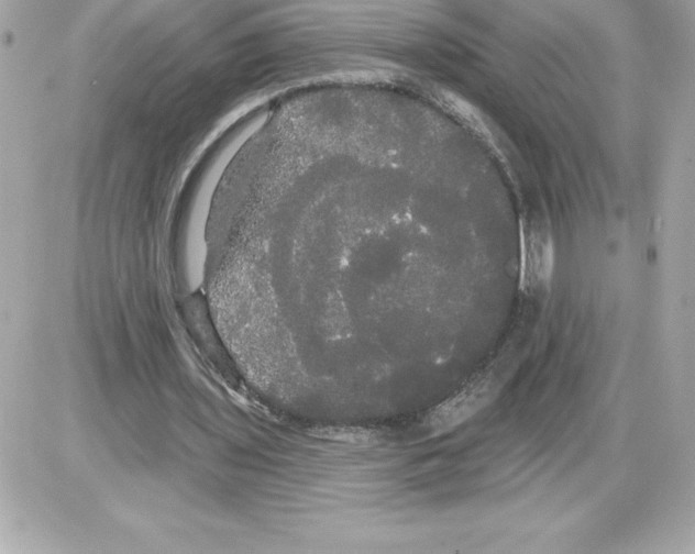 X0000085220435200704091936