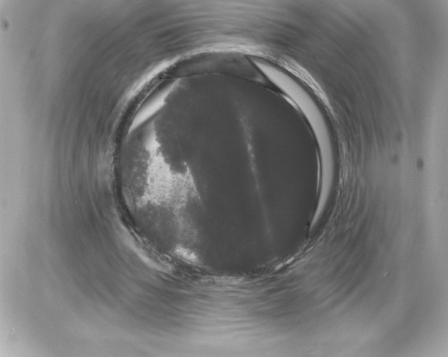 X0000085220436200704091936