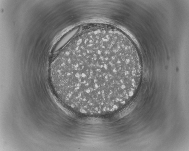 X0000085220437200704091936