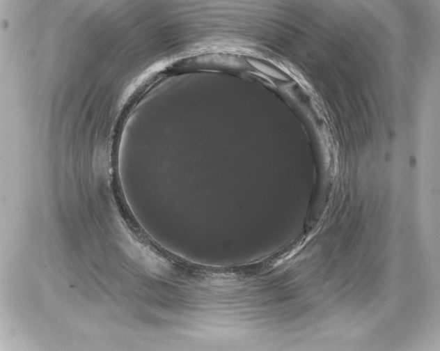 X0000085220438200704091936