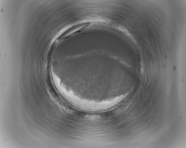 X0000085220440200704091936