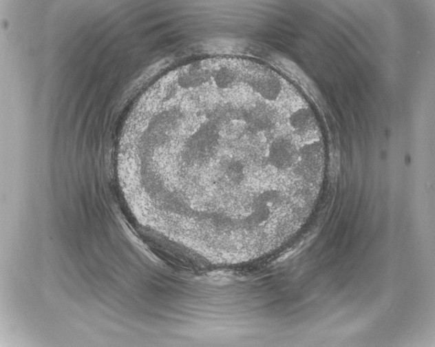 X0000085220441200704091936